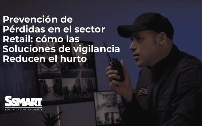 Alarmas: Prevenci&oacute;n de P&eacute;rdidas en el Sector Retail